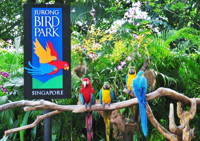 singapore jurong bird park